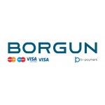 Borgun payment gateway